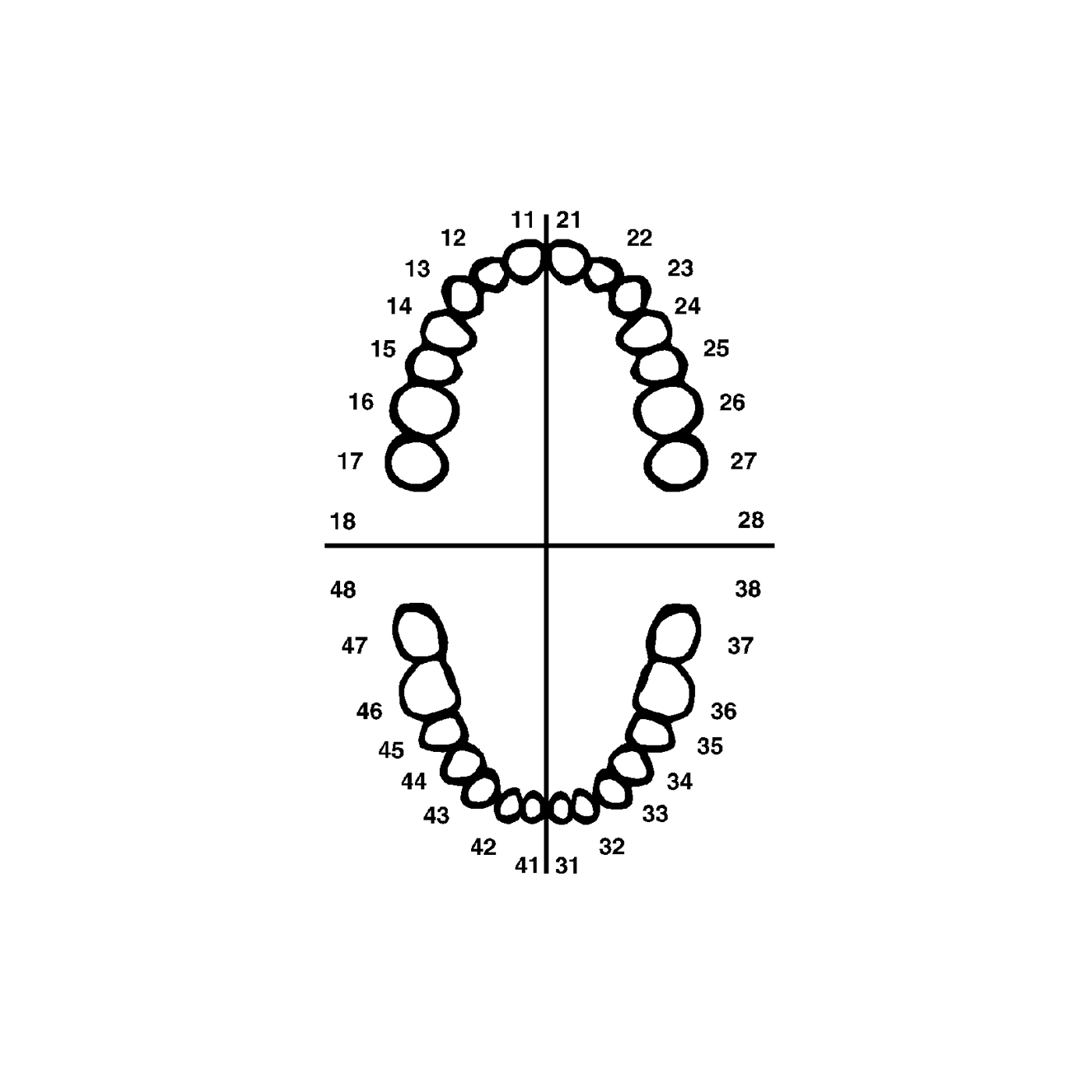 Frasaco Teeth AG-3 Z28